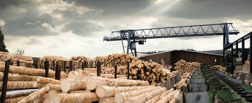 Schema de verificare SURE