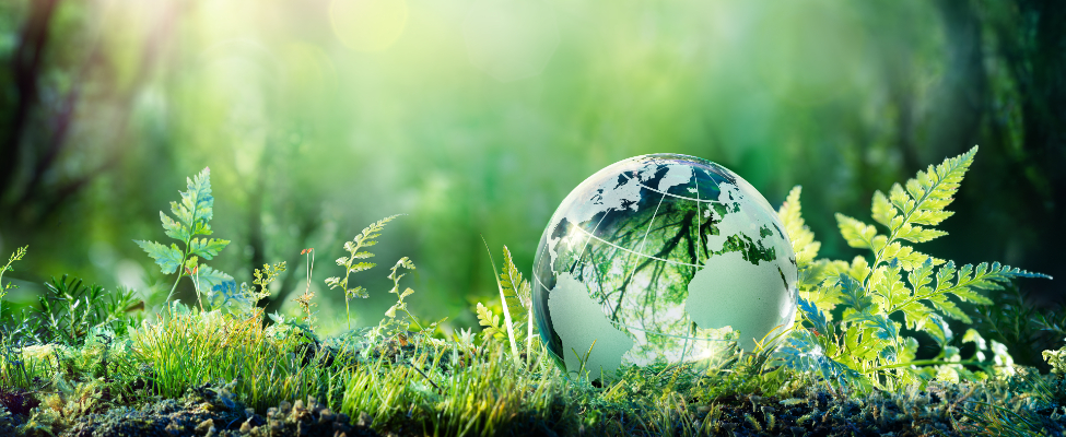 Életciklus-értékelés (LCA)/ Környezetvédelmi terméknyilatkozat (EPD)