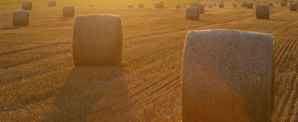 SURE ellenőrzési rendszer