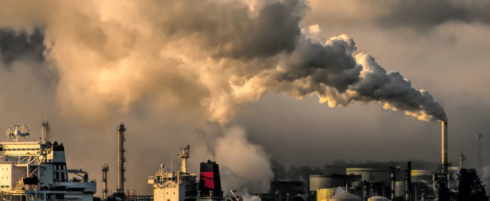 Kultainen standardi (GS – Gold Standar)